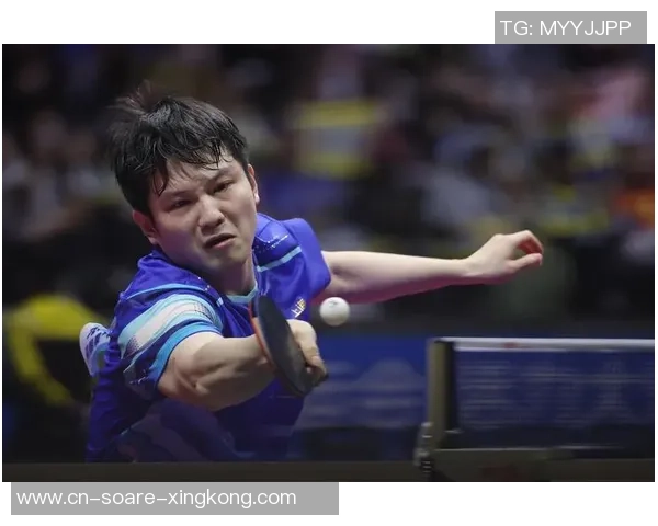 樊振东反转王楚钦，再次闯进全运会决赛